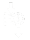 Coin Icon